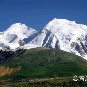 雪山雄鹰头像