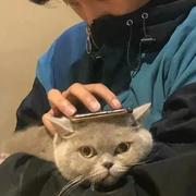 安德255的个人资料头像