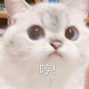 KuCai的个人资料头像