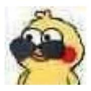 小谷围鸡蛋灌饼的个人资料头像