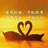 顺其自然3974749007999头像