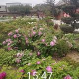 菏泽市牡丹区赵永生头像