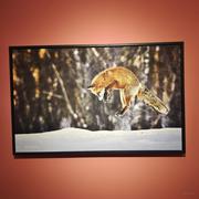 一鸭一鸭悠的个人资料头像