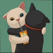 相静的个人资料头像