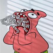 干瘪的兔子的个人资料头像