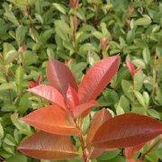 淡然才会自然的个人资料头像