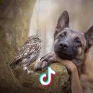 🌾    ZHOU🍂   .头像