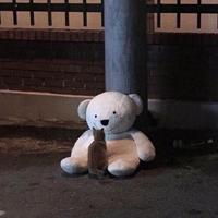 用户9559580639728头像