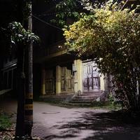 付总谈社会头像