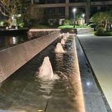 杭州市民刘先生头像