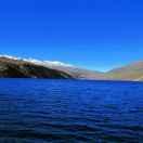 Fluxay的个人资料头像