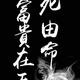 陌上飞羽弦头像