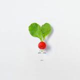 睿智的博学花猫头像