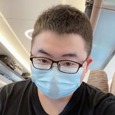 斜风入柳头像