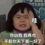 偷熊计划的个人资料头像