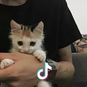 L.Y.C头像