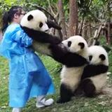 远方68765头像