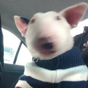 我不修仙的个人资料头像