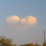 Ai开的个人资料头像