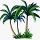 一棵小小的椰子树头像