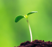 Felix21152的个人资料头像