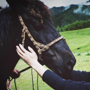 iDOKER的个人资料头像