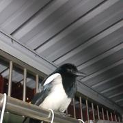 用户6741983488140的个人资料头像