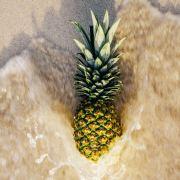 潘潘_潘潘潘的个人资料头像