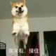 手机用户71418099251头像