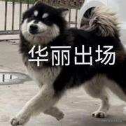 今天吃啥的个人资料头像