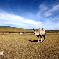 用户1393076882549头像