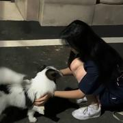 Daily946的个人资料头像