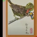 杨焖葱头像