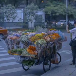 玫瑰花情鲜花店头像