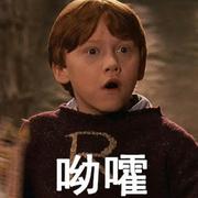 欣和的个人资料头像