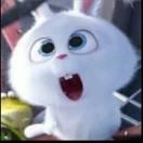 云长歌的个人资料头像