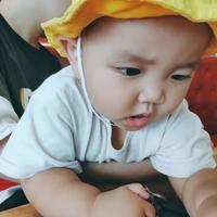 希希与卉卉头像