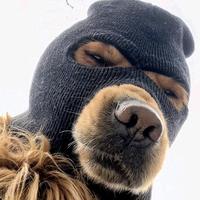 王大爷隔壁家的胡大爷头像