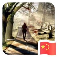 _龍331头像