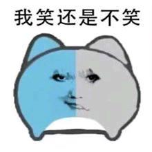 呆呆泡头像