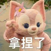 y菌子的个人资料头像