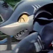 鲨鱼大辣椒_的个人资料头像