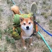 崔安兵的个人资料头像