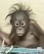 去前面端菜啊的个人资料头像