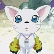 牛轧糖的个人资料头像