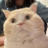 刘某人8260头像