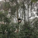 多才奶酪xIE头像