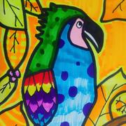 上下求索的浩的个人资料头像