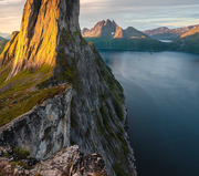 言诺意深的个人资料头像