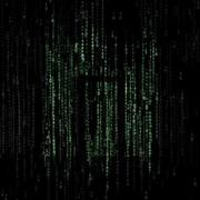 XFriday的个人资料头像